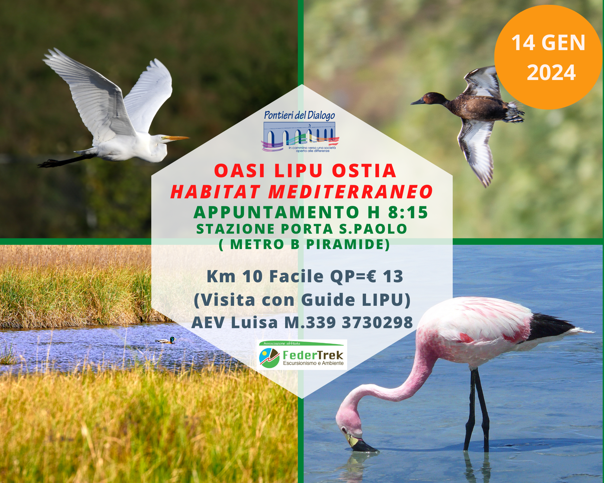 Locandina Oasi LIPU Centro Habitat Mediterraneo